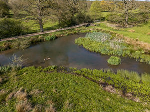 Photo 46- click for photo gallery